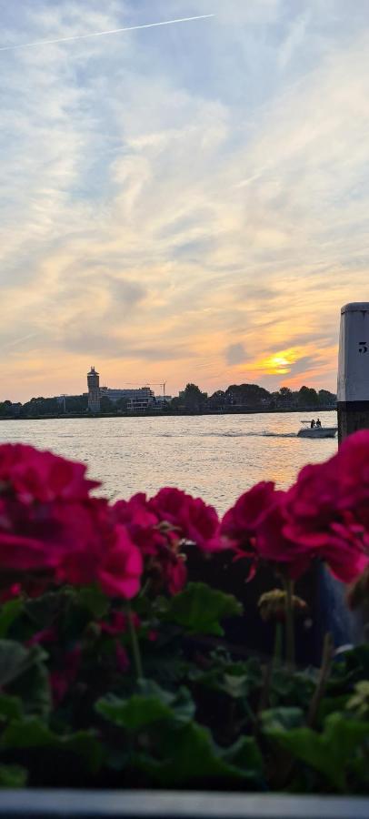 Zen B&B Dordrecht Bagian luar foto